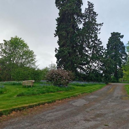 The Bungalow - Ardullie Lodge Dingwall Eksteriør bilde