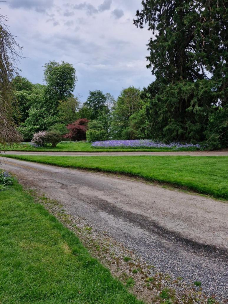 The Bungalow - Ardullie Lodge Dingwall Eksteriør bilde