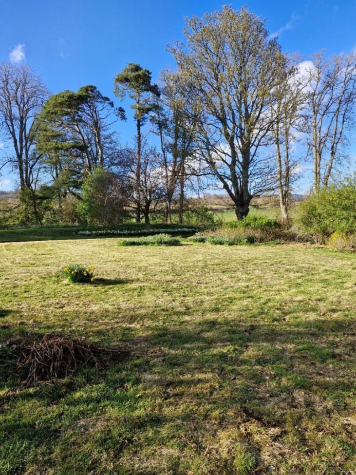 The Bungalow - Ardullie Lodge Dingwall Eksteriør bilde